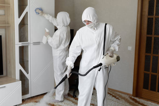 Best Mold Cleaning Services  in St Petersburg, FL