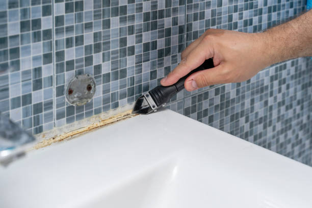 Trusted St Petersburg, FL Mold Removal Experts