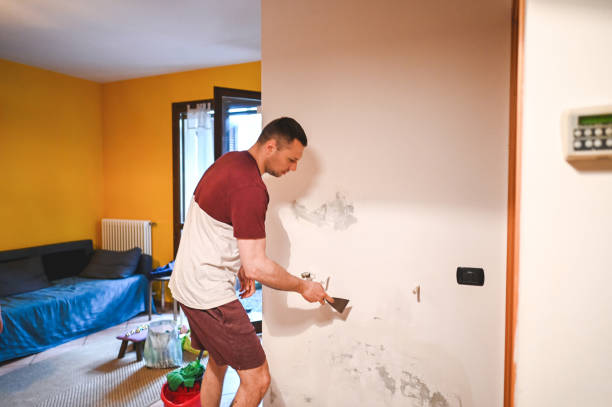 Best Mold Cleaning Services  in St Petersburg, FL